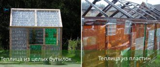 Mga uri ng greenhouse