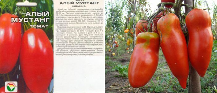 Домат "Скарлет Мустанг"