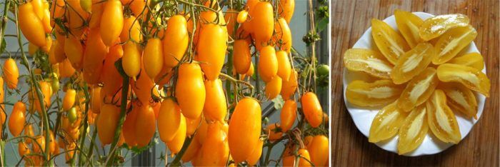 Uri ng mga binti ng saging