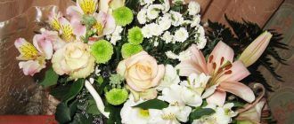 Mga bulaklak para sa mga bouquet