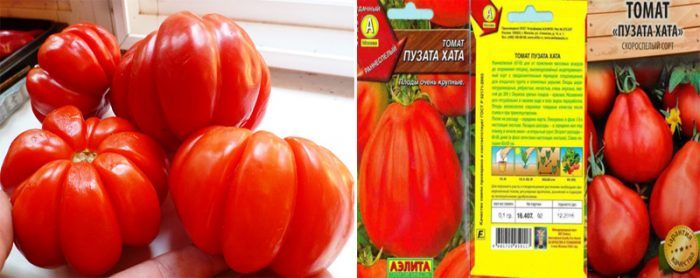Kamatis na Puzata Khata