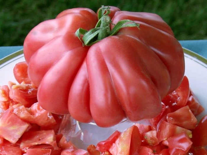 Kamatis na Puzata Khata Pink
