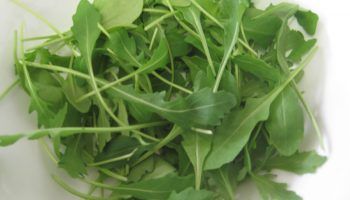Arugula