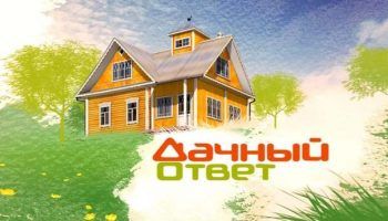 Logo ng Sagot ng Dacha