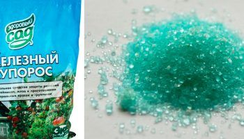 Ferrous sulfate