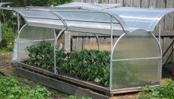 Greenhouse ng paru-paro