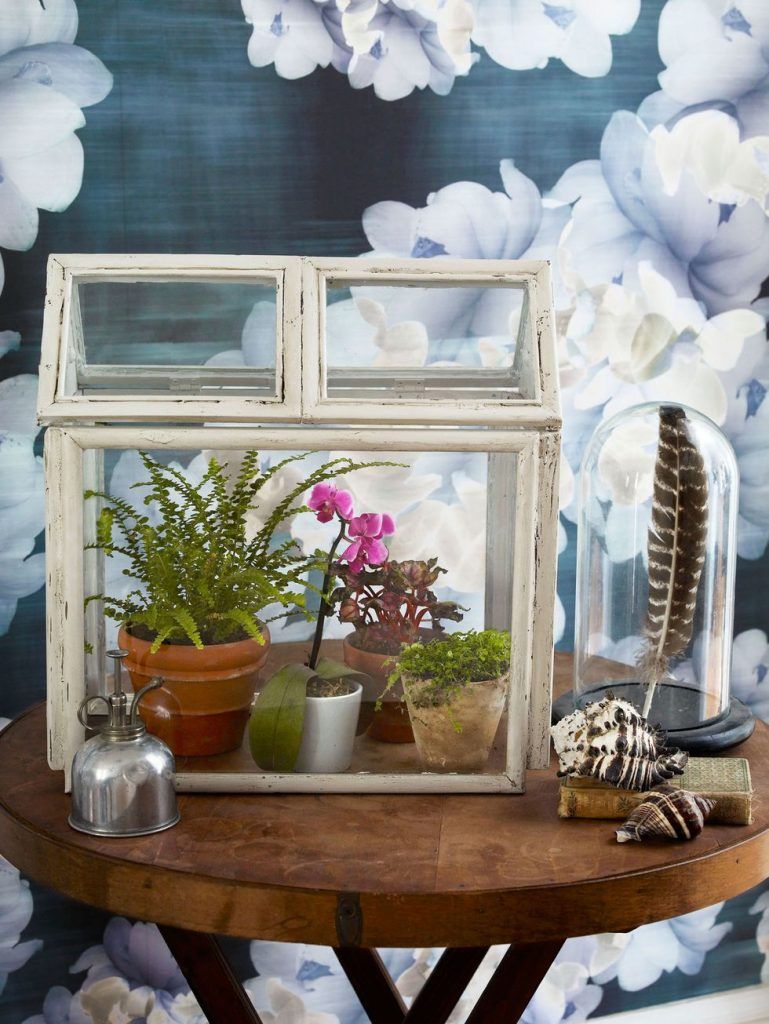 Terrarium para sa mga halaman