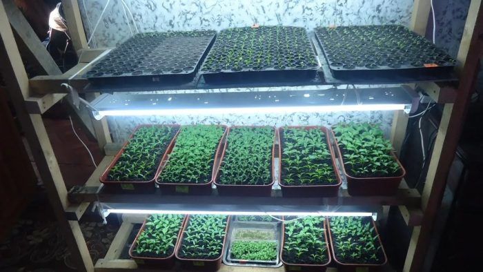 Greenhouse sa bintana