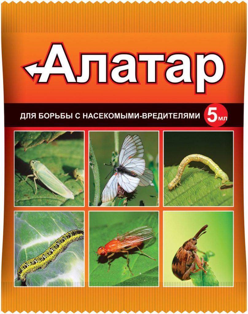 Ałatar