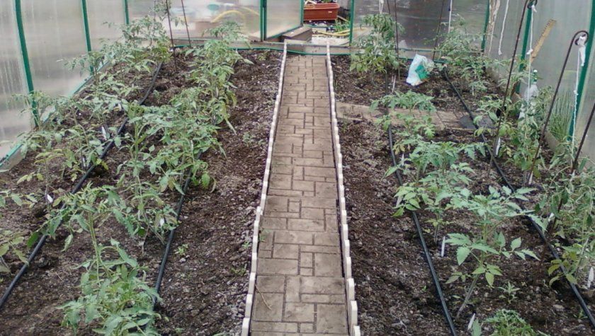 Rura plastikowa w szklarni plastikowa rurka