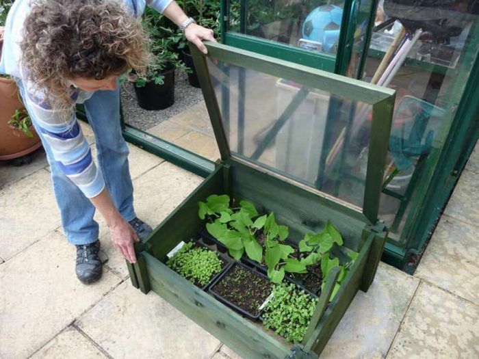 Portable na greenhouse