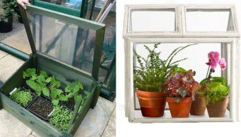 Mga maliliit na greenhouse