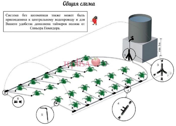 Rurka i kroplomierze Podlewanie 60 roślin