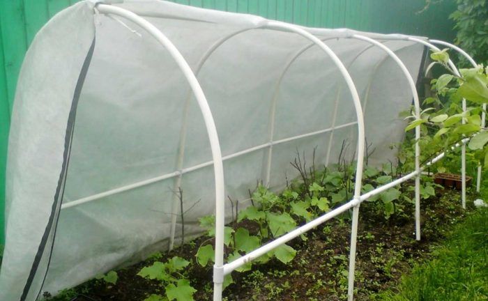 Greenhouse sa lupa