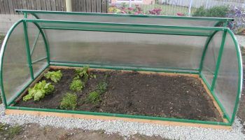 Greenhouse sa hardin