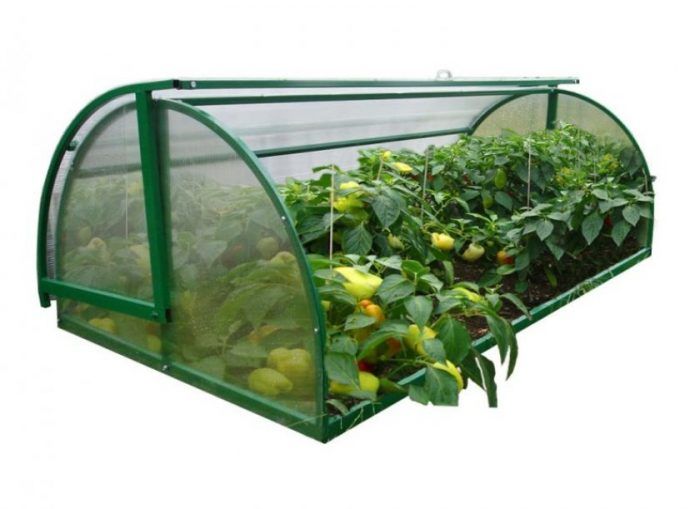 Kahon ng tinapay sa greenhouse