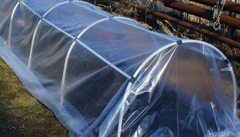 Greenhouse na gawa sa mga tubo ng polypropylene
