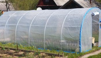 Greenhouse na gawa sa mga tubo ng PVC