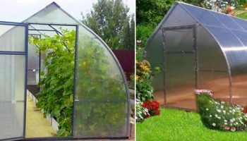 Patak ng Greenhouse