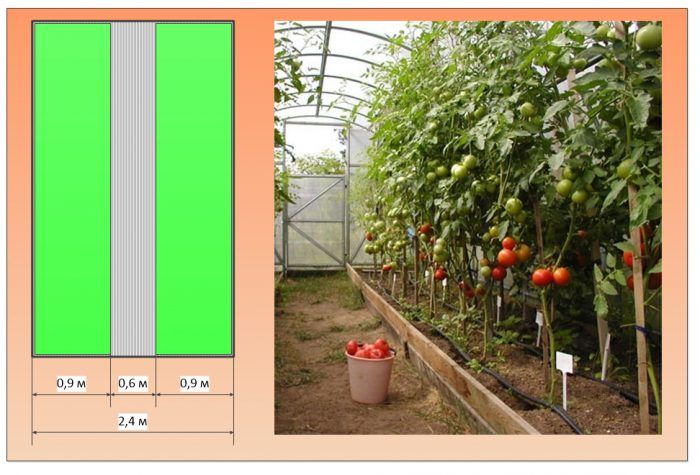 Greenhouse 2.4 m