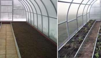 Posibleng pag-aayos ng mga kama sa isang greenhouse