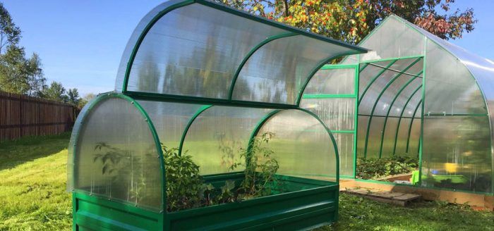 Greenhouse ng Paru-paro