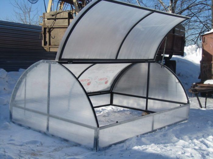 Greenhouse ng paru-paro sa taglamig