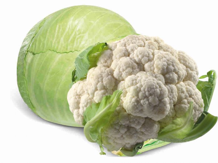 biela kapusta a karfiol