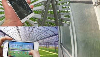 Matalinong greenhouse