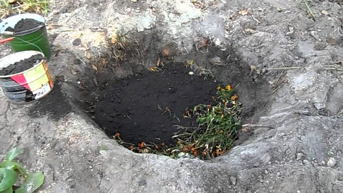 Príprava jamiek na výsadbu