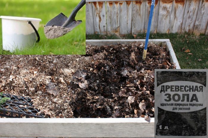 Abo sa compost