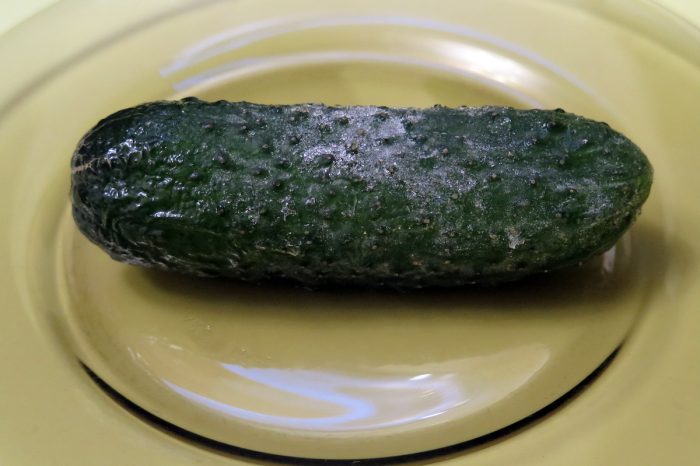 Nakapirming pipino