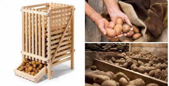 Pag-iimbak ng patatas