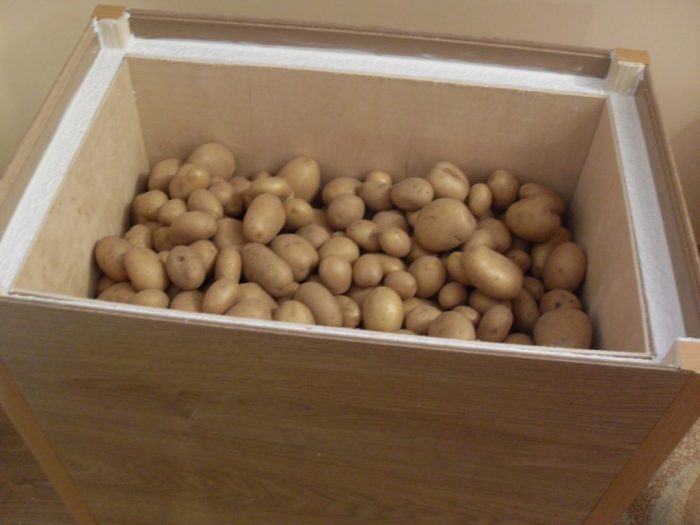 Pag-insulate ng kahon ng patatas