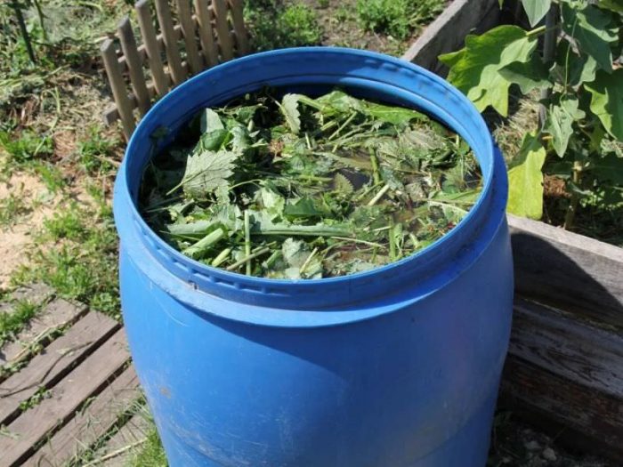 Herbal na pagbubuhos