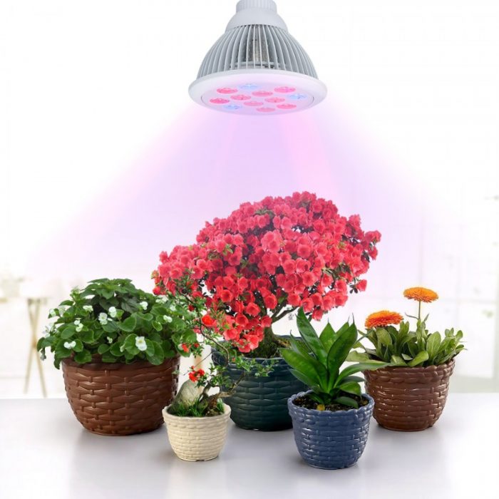 Lamp para sa mga bulaklak