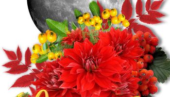 Mga Bulaklak sa Oktubre