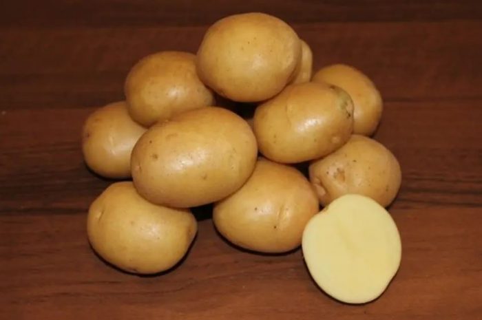 Mga patatas na buto