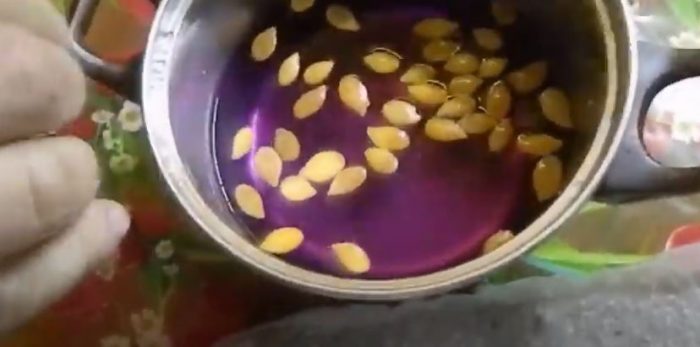 Pompoenpitten weken
