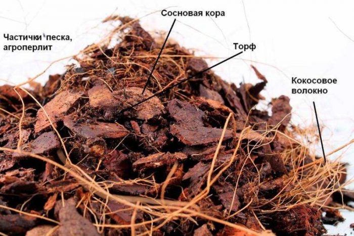 Lupa para sa mga epiphyte