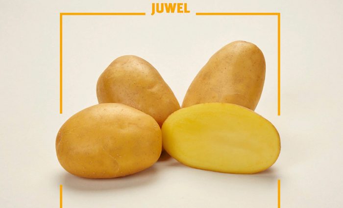 Patatas na Hiyas