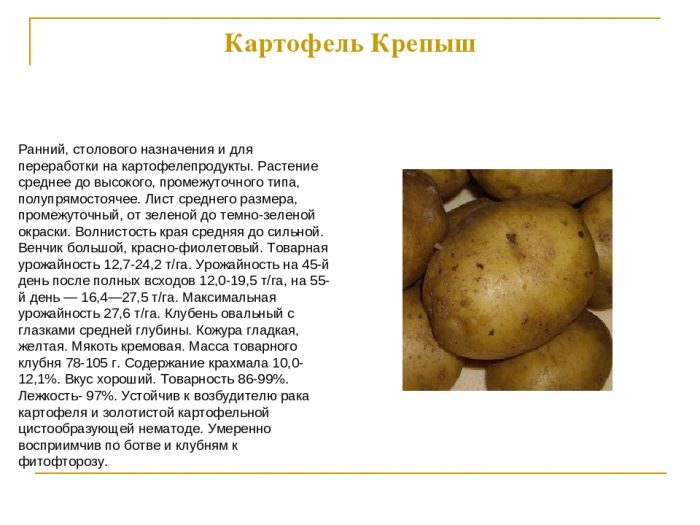 Uri ng Krepysh