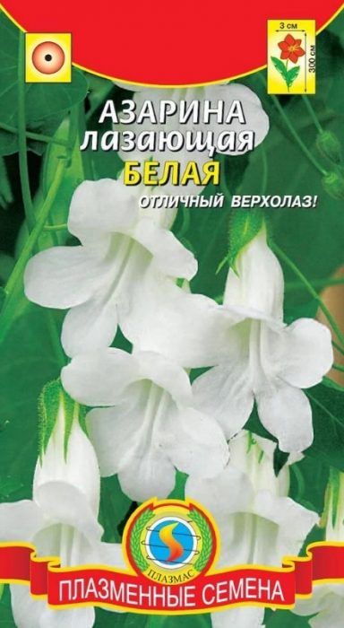 Odmiana biała
