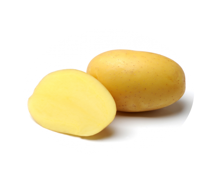 Iba't ibang uri ng Nandina