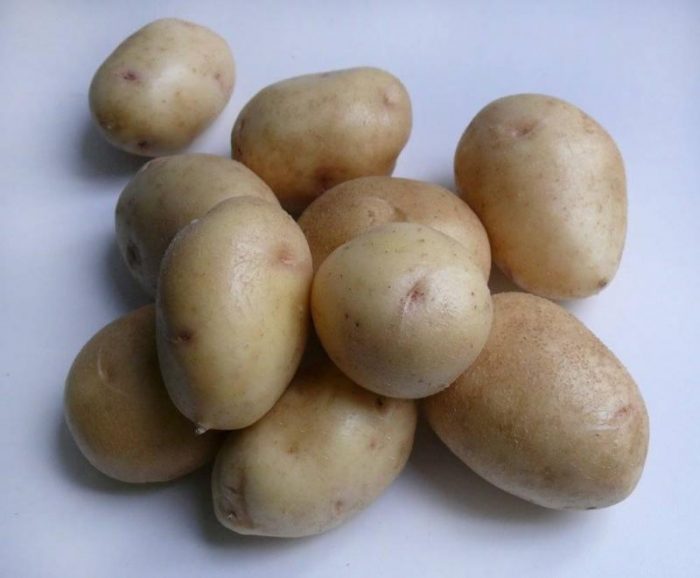 Mga tuber ng patatas ng uri ng Nevsky