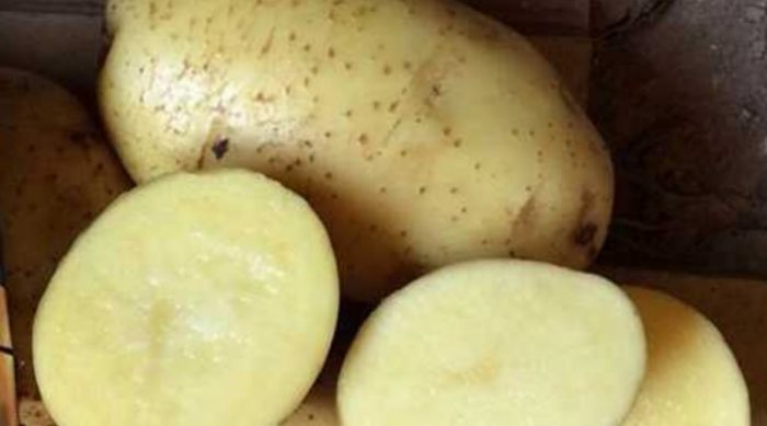Paghiwa-hiwalay ng uri ng patatas na Breeze