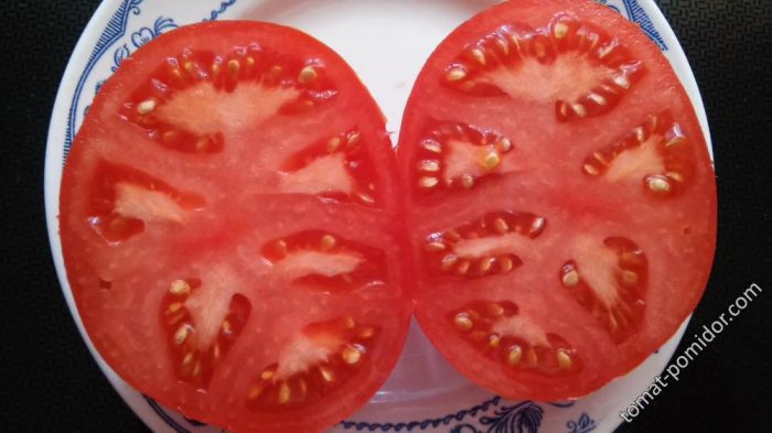 Sapal ng kamatis na Agatha