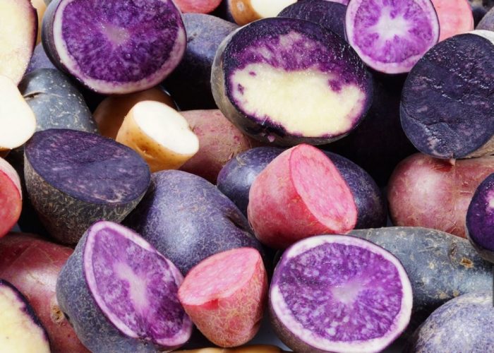 Iba't ibang patatas