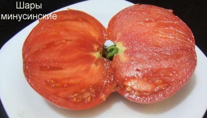 Kamatis sa seksyon