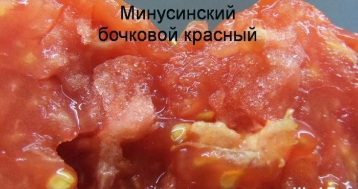 Пулпата от сорта домати Минусински Бочкови